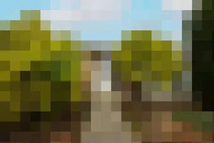 Vuurijzerstede 5 Cuijk foto 3