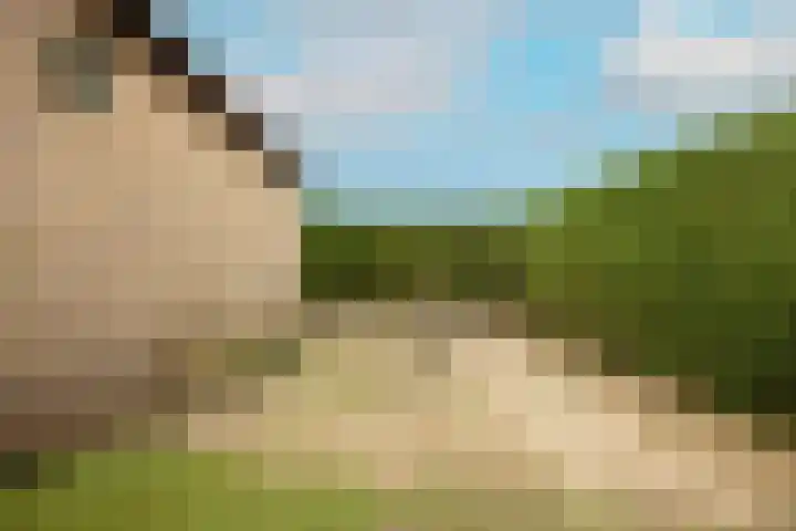 Vuurijzerstede 5 Cuijk thumbnail 30