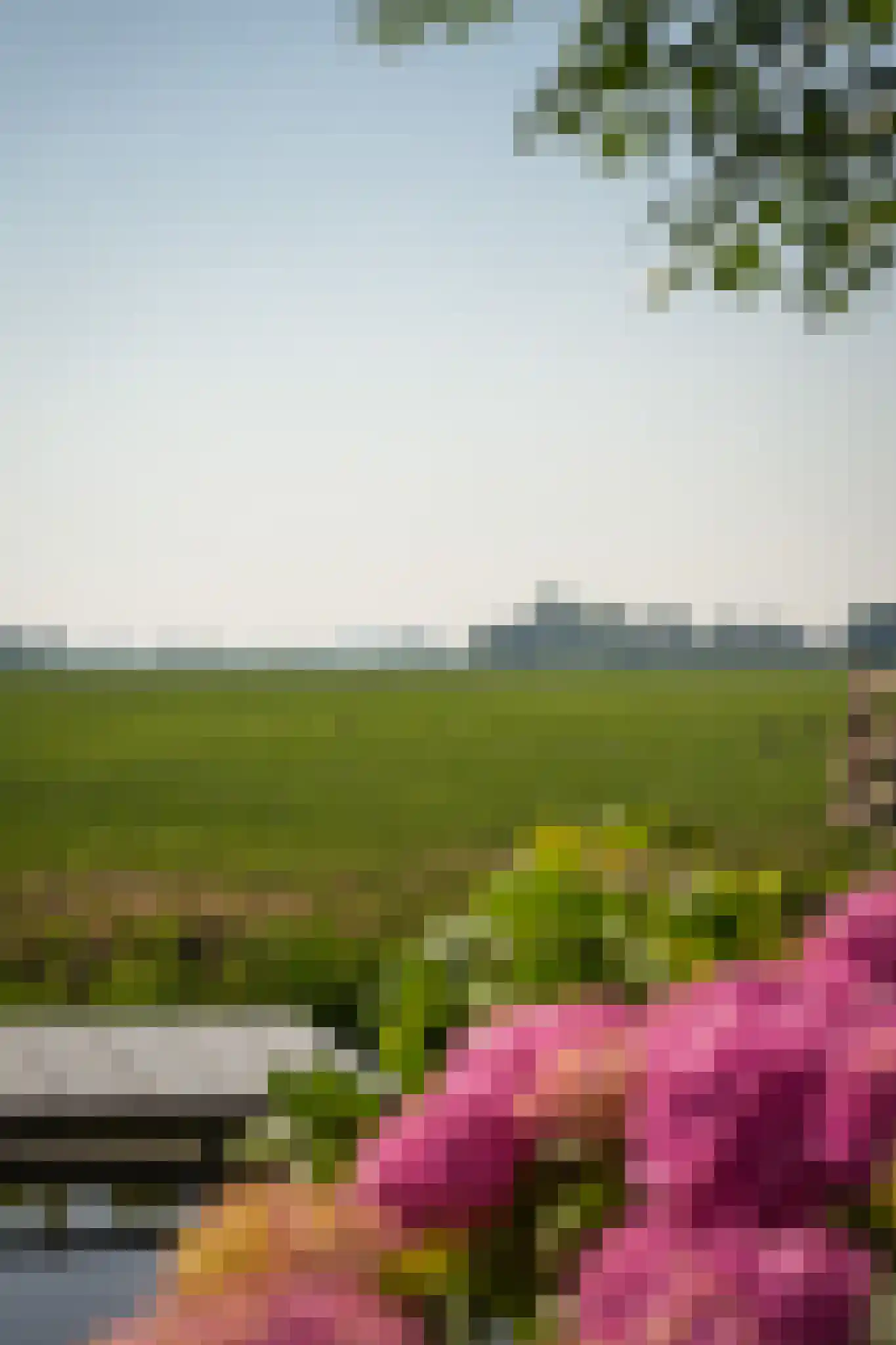Vuurkruidstraat 18 Nieuwpoort thumbnail 35