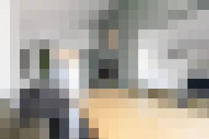 Vuurlaan 4 Alphen aan den Rijn thumbnail 12