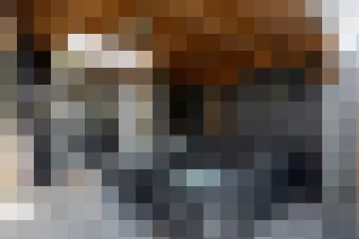 Vuurlaan 4 Alphen aan den Rijn thumbnail 13