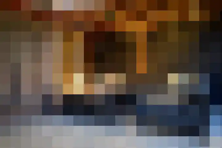Vuurlaan 4 Alphen aan den Rijn thumbnail 14