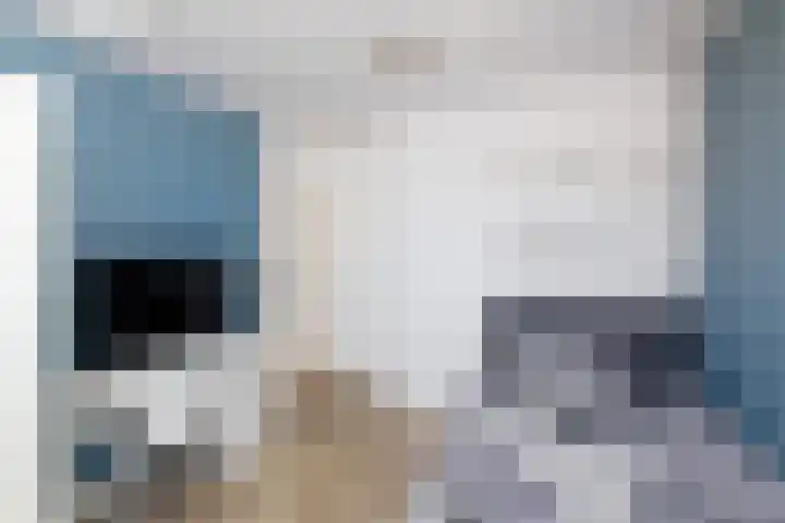 Vuurlaan 4 Alphen aan den Rijn thumbnail 24