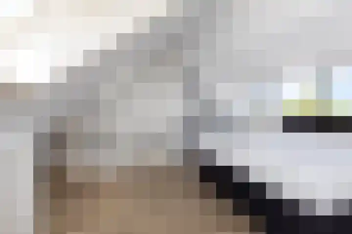 Vuurlaan 4 Alphen aan den Rijn thumbnail 28