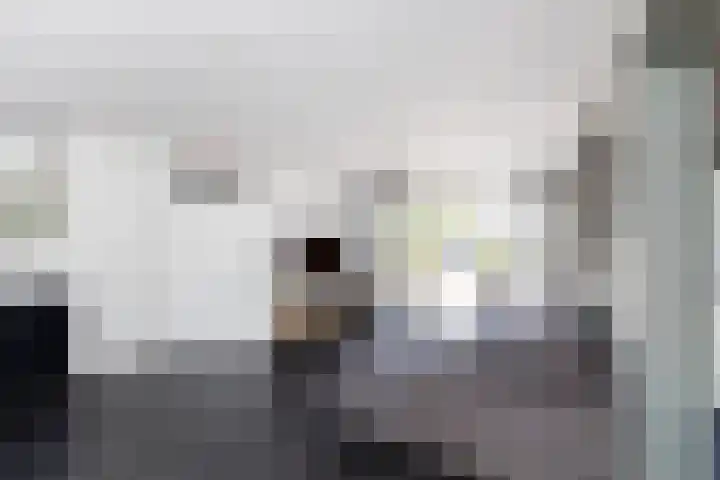 Vuurlaan 4 Alphen aan den Rijn thumbnail 7