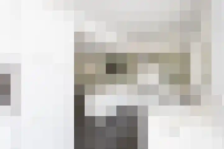 Vuurlaan 4 Alphen aan den Rijn thumbnail 9