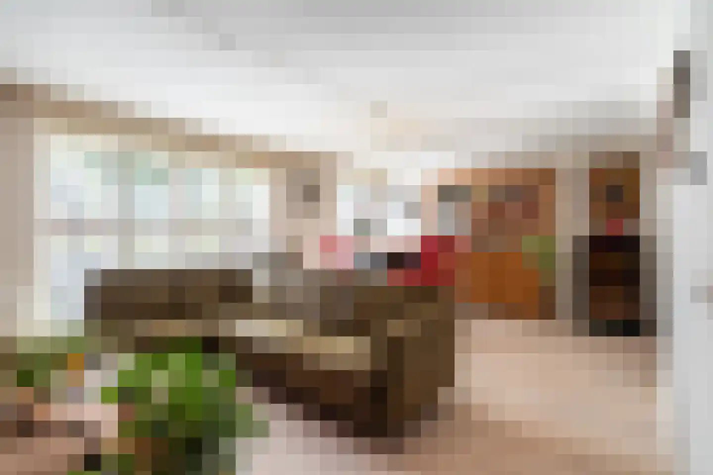 Vuurland 2 Den Haag thumbnail 13