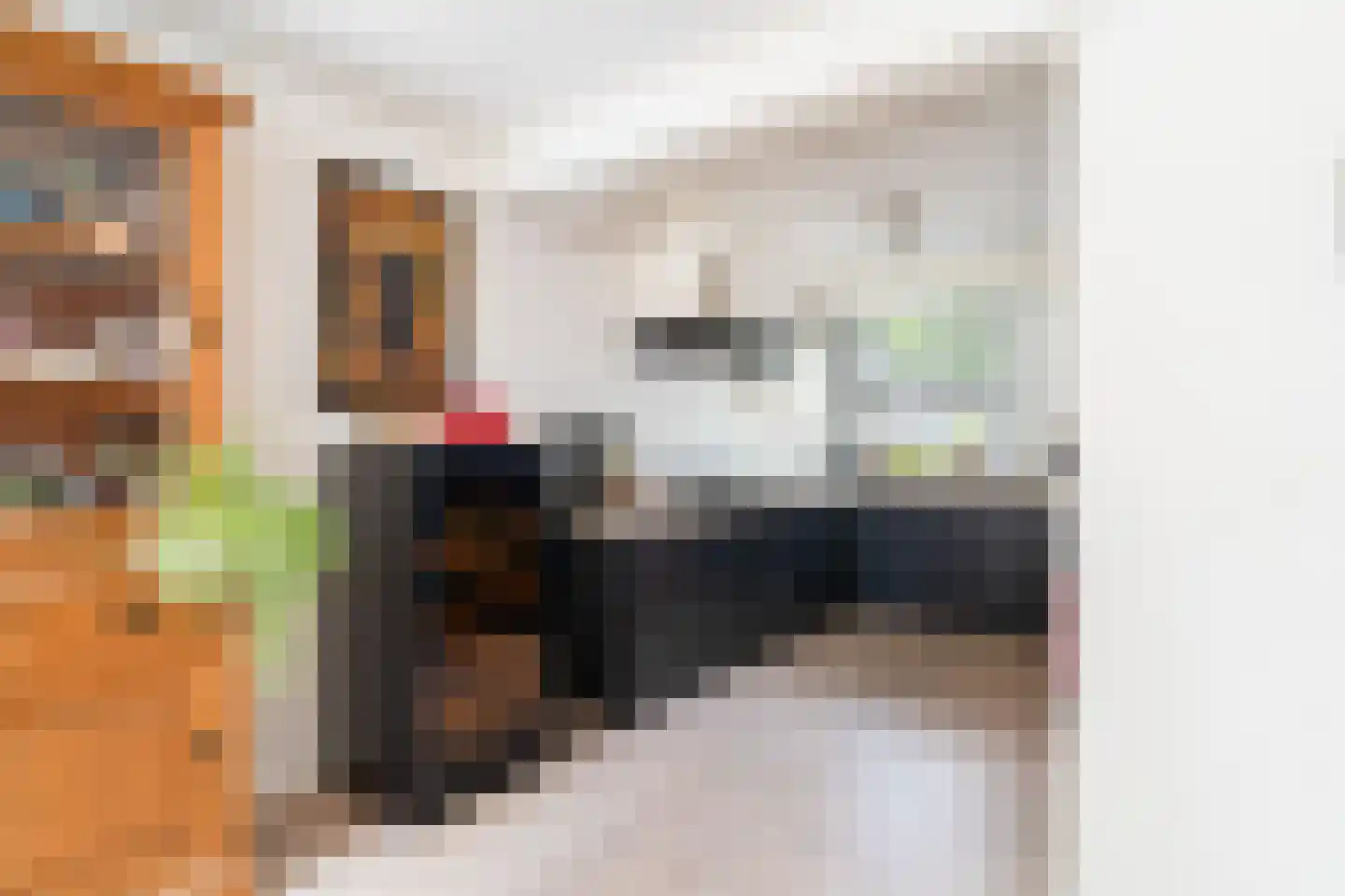Vuurland 2 Den Haag thumbnail 16