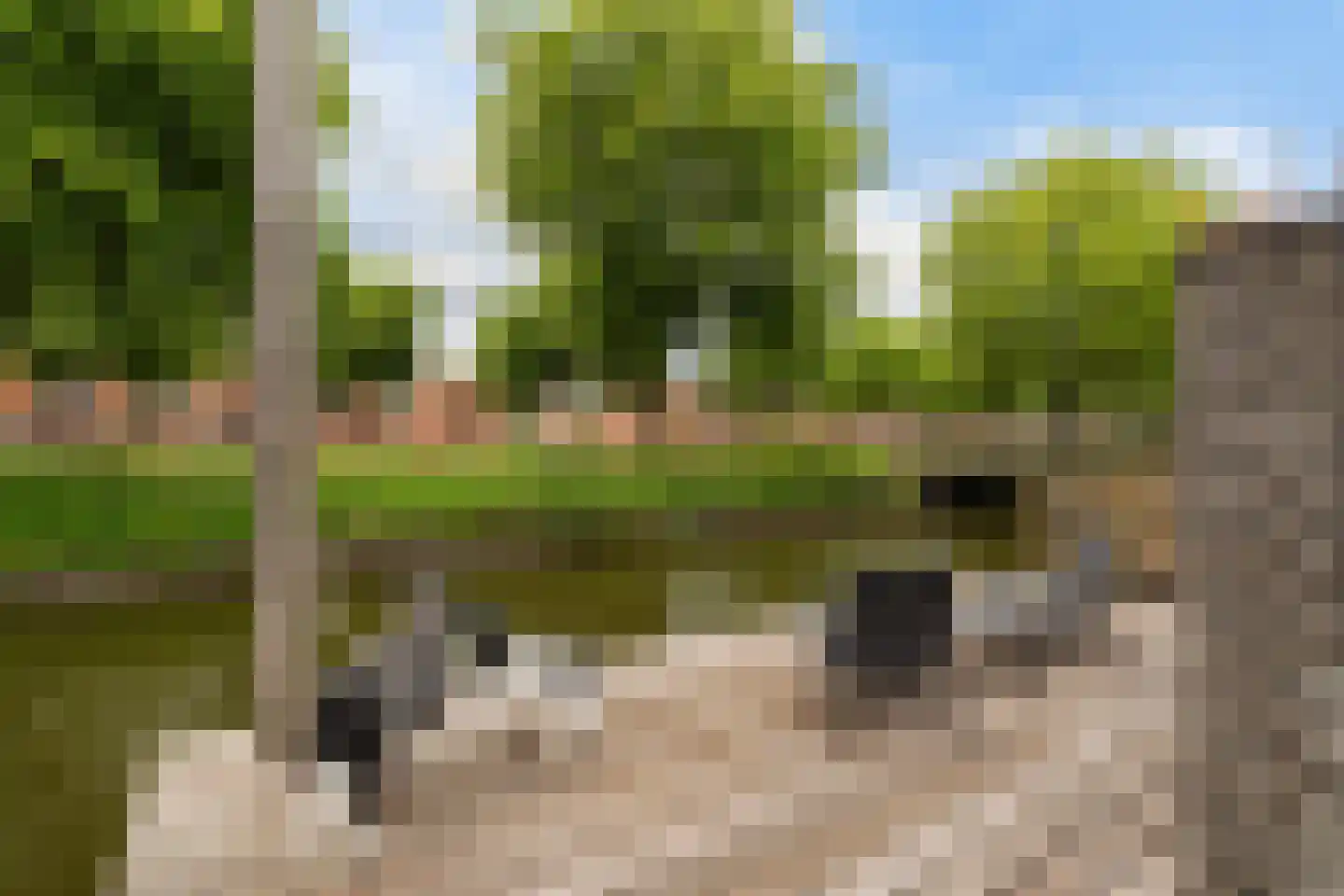 Vuurland 2 Den Haag thumbnail 27