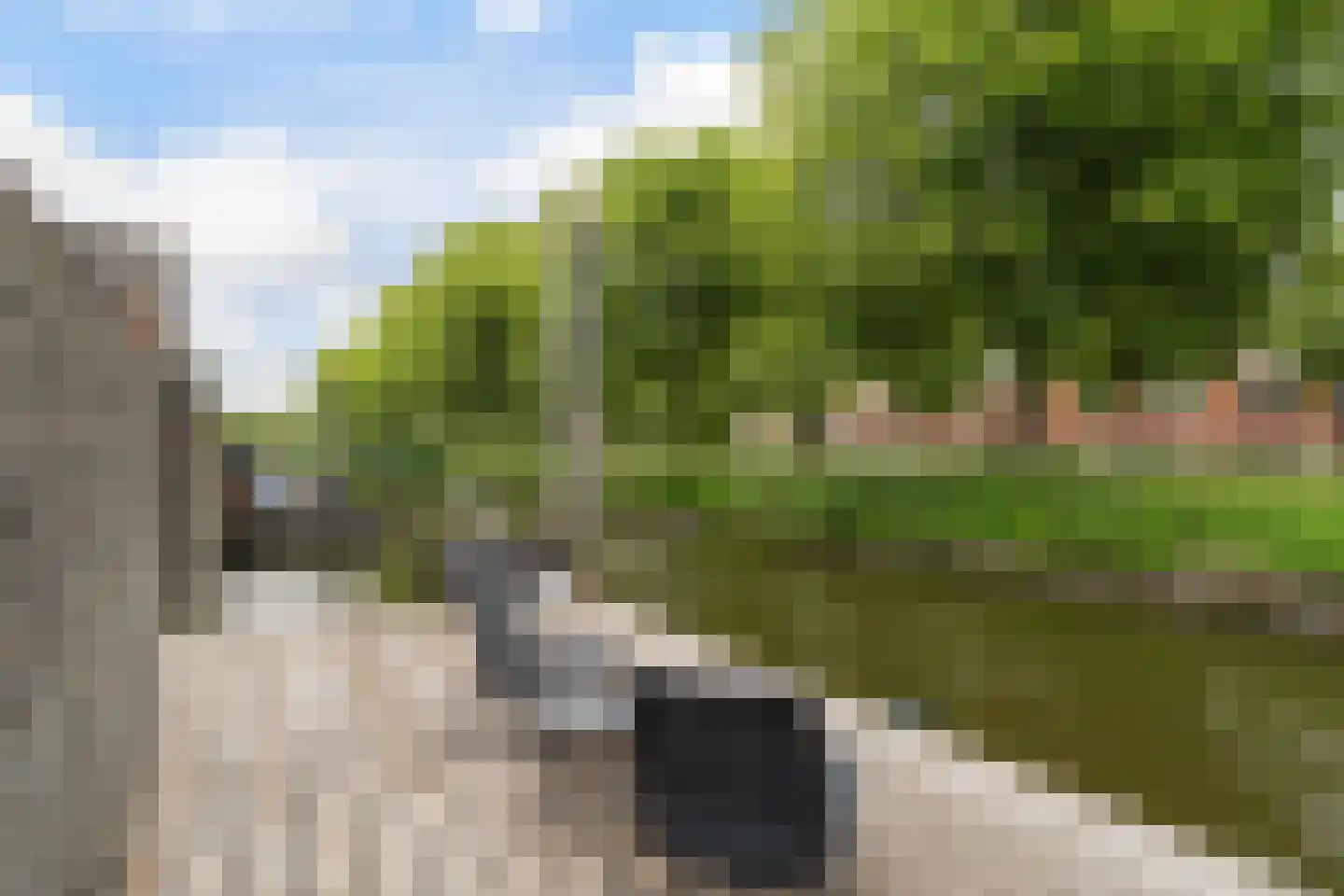 Vuurland 2 Den Haag thumbnail 28