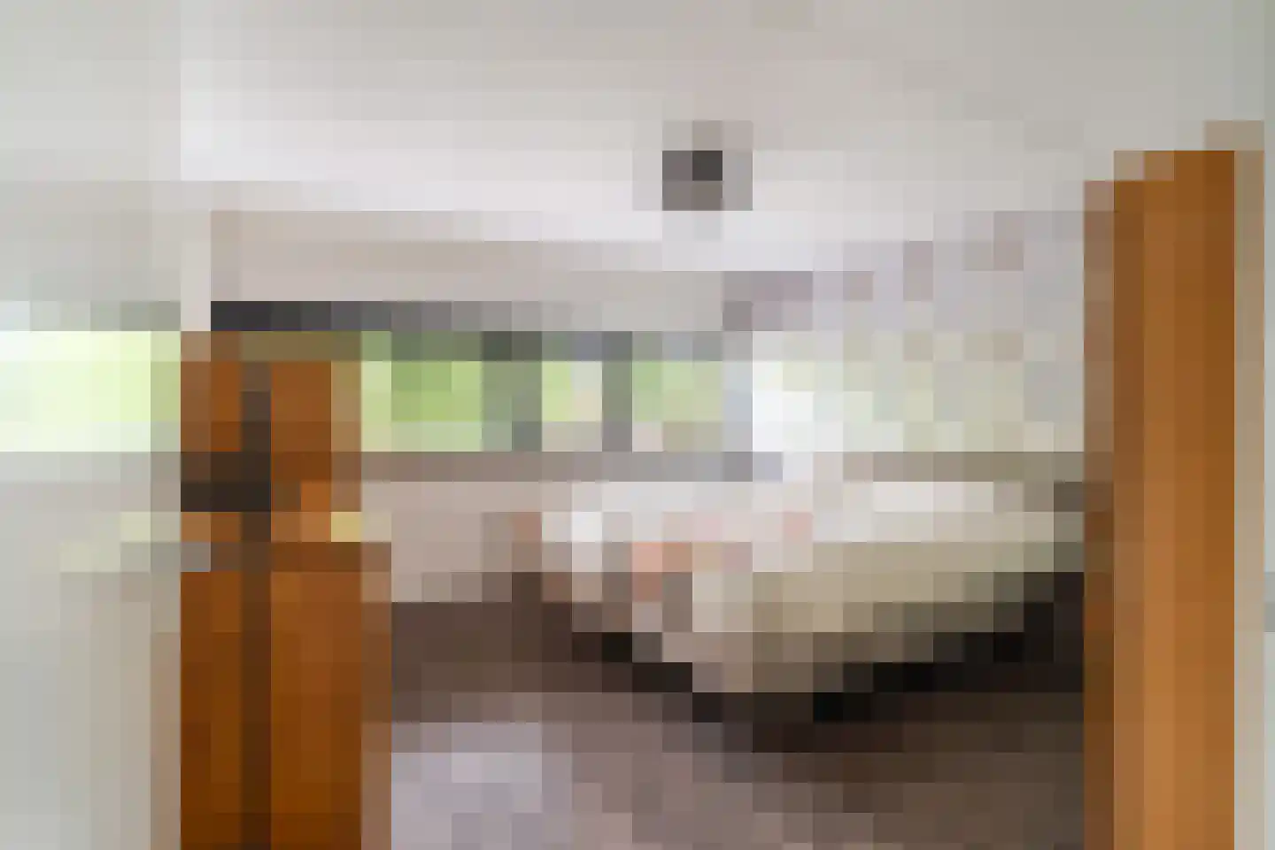 Vuurland 2 Den Haag thumbnail 31
