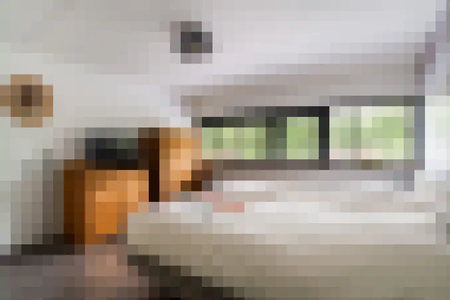 Vuurland 2 Den Haag thumbnail 32