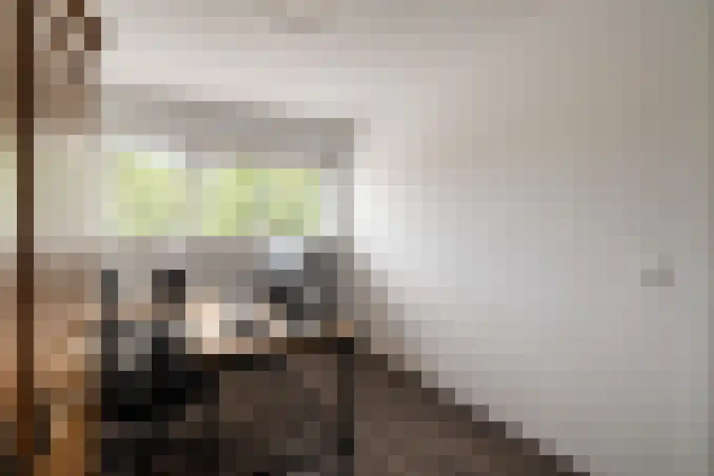 Vuurland 2 Den Haag thumbnail 35