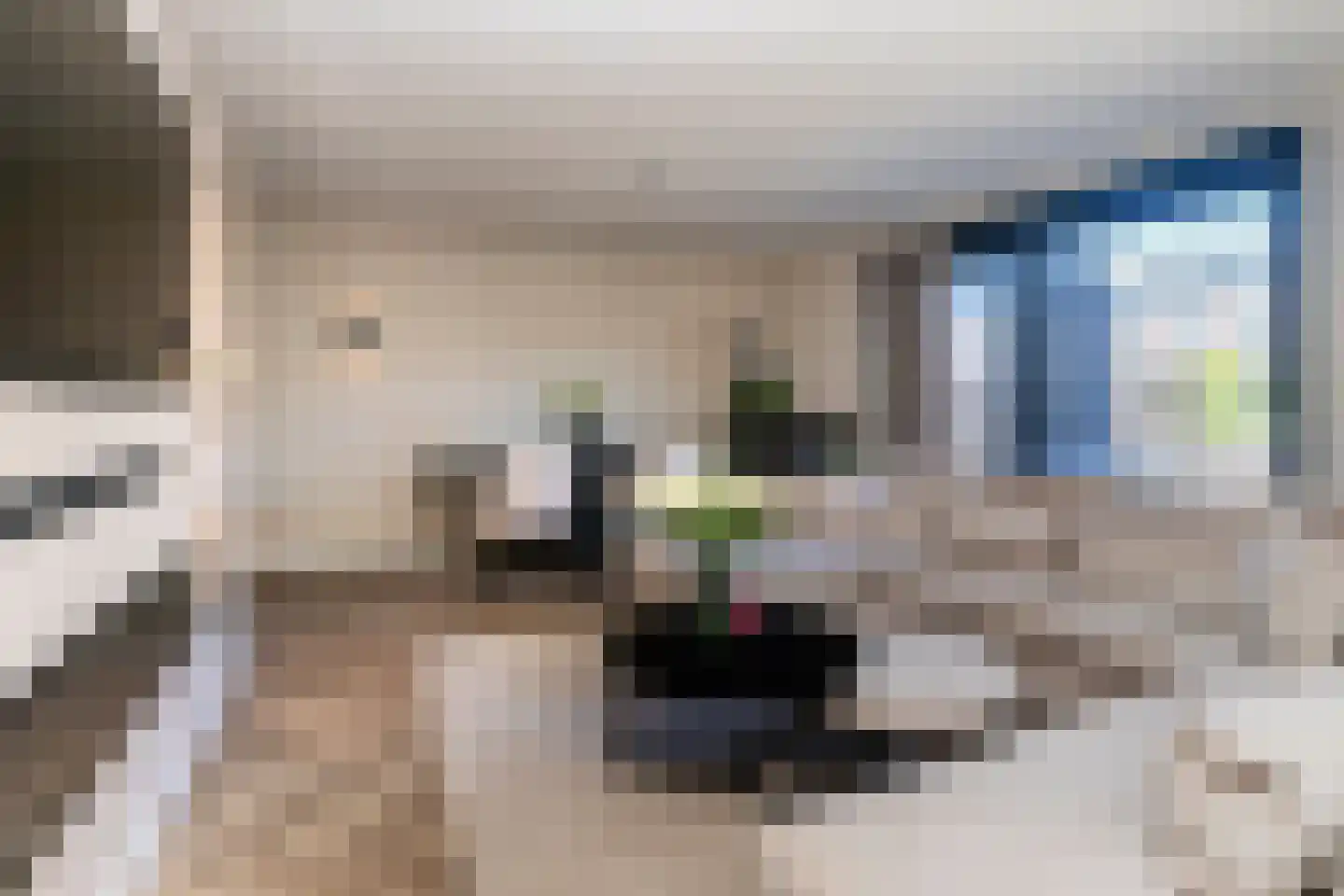 Vuurland 24 Den Haag thumbnail 14
