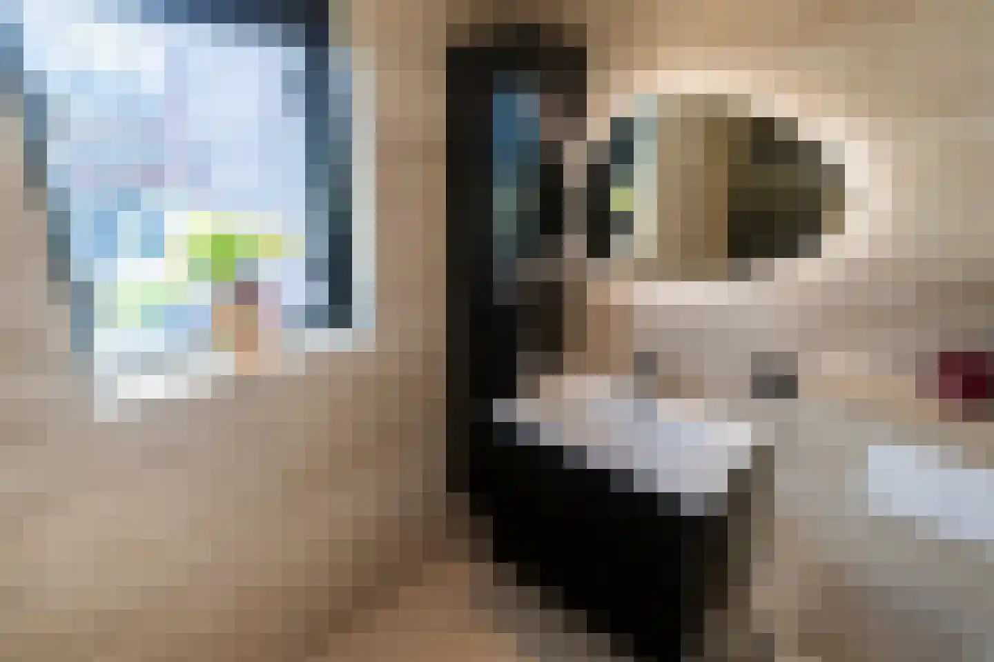 Vuurland 24 Den Haag thumbnail 31