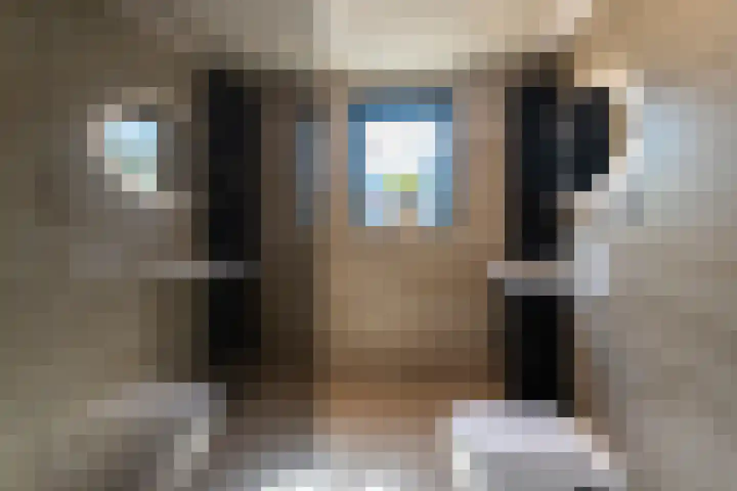 Vuurland 24 Den Haag thumbnail 5