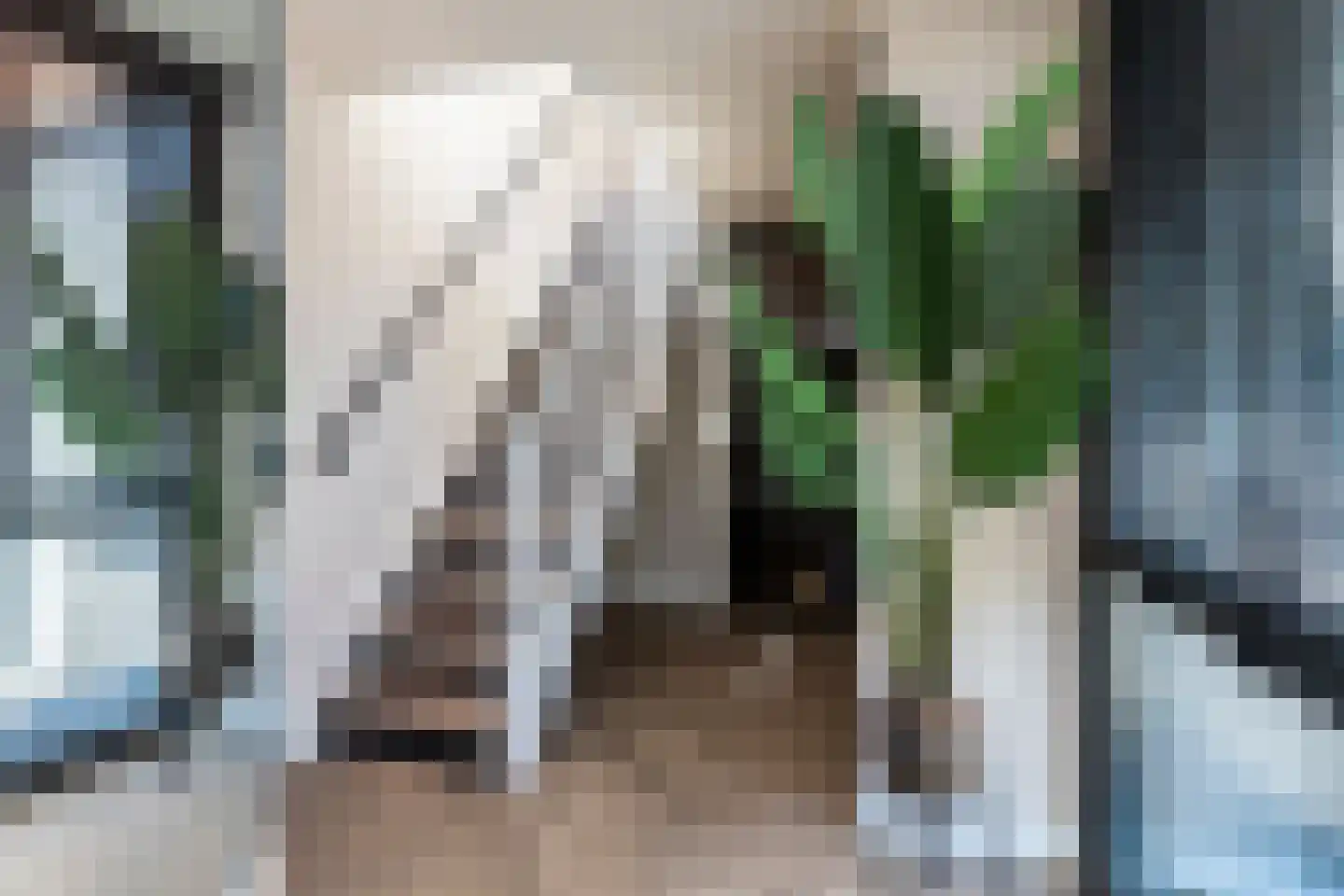 Vuurland 24 Den Haag thumbnail 8