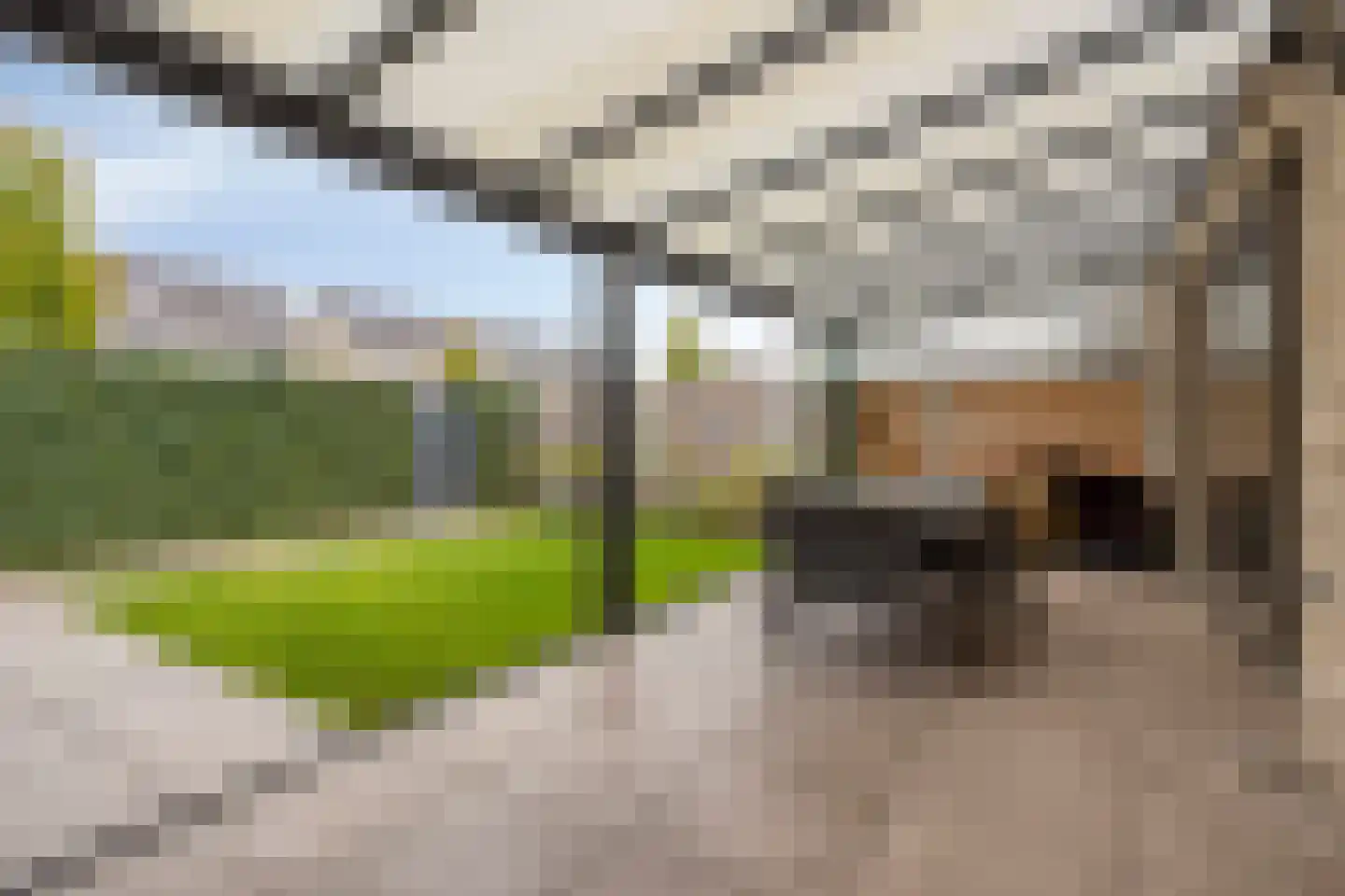 Vuurlibel 14 Son en Breugel thumbnail 41