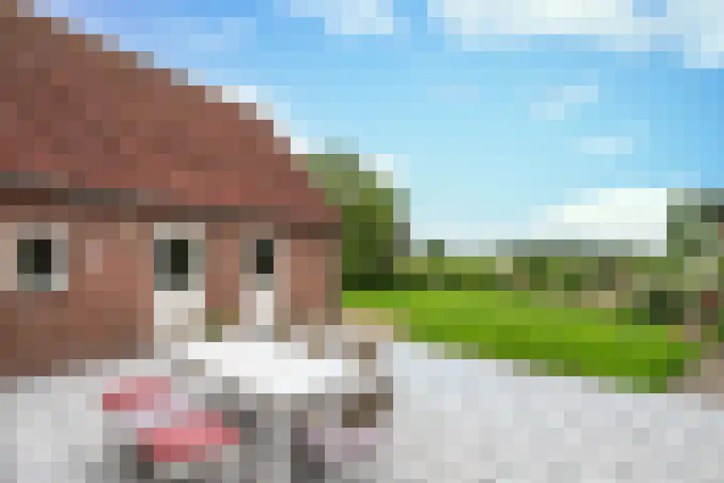 Vuurlinie 6 a Neerkant thumbnail 50