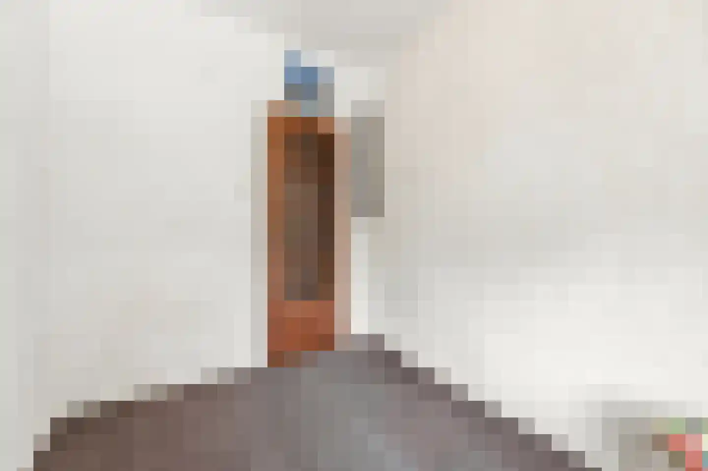 Vuurpijlstraat 20 B Rotterdam thumbnail 18