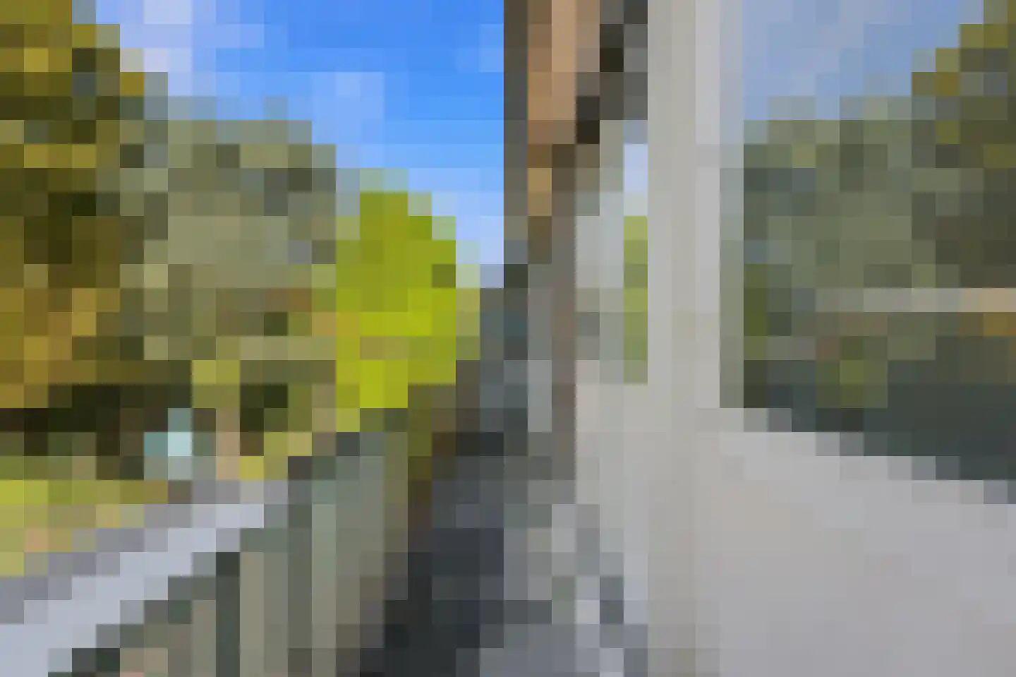 Vuurpijlstraat 20 B Rotterdam thumbnail 34