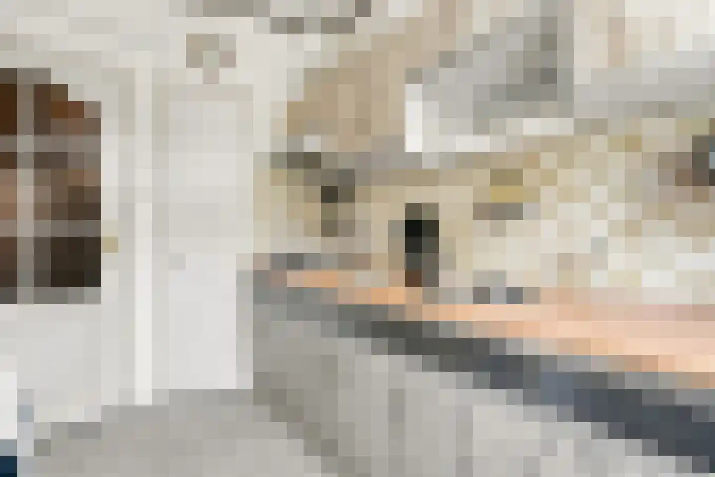 Vuurpijlstraat 20 B Rotterdam thumbnail 5