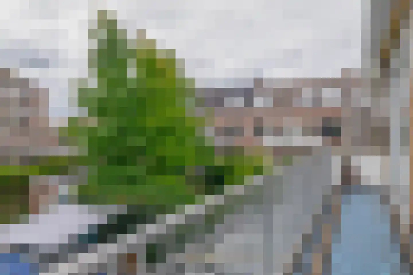 Vuurpijlstraat 26 B Rotterdam thumbnail 25