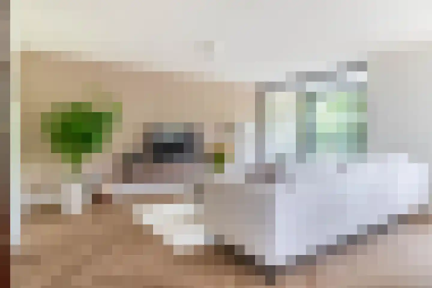 Vuurplaat 555 Rotterdam thumbnail 12