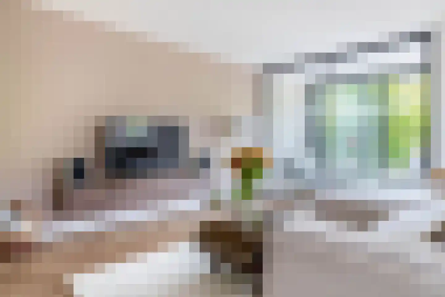 Vuurplaat 555 Rotterdam thumbnail 15