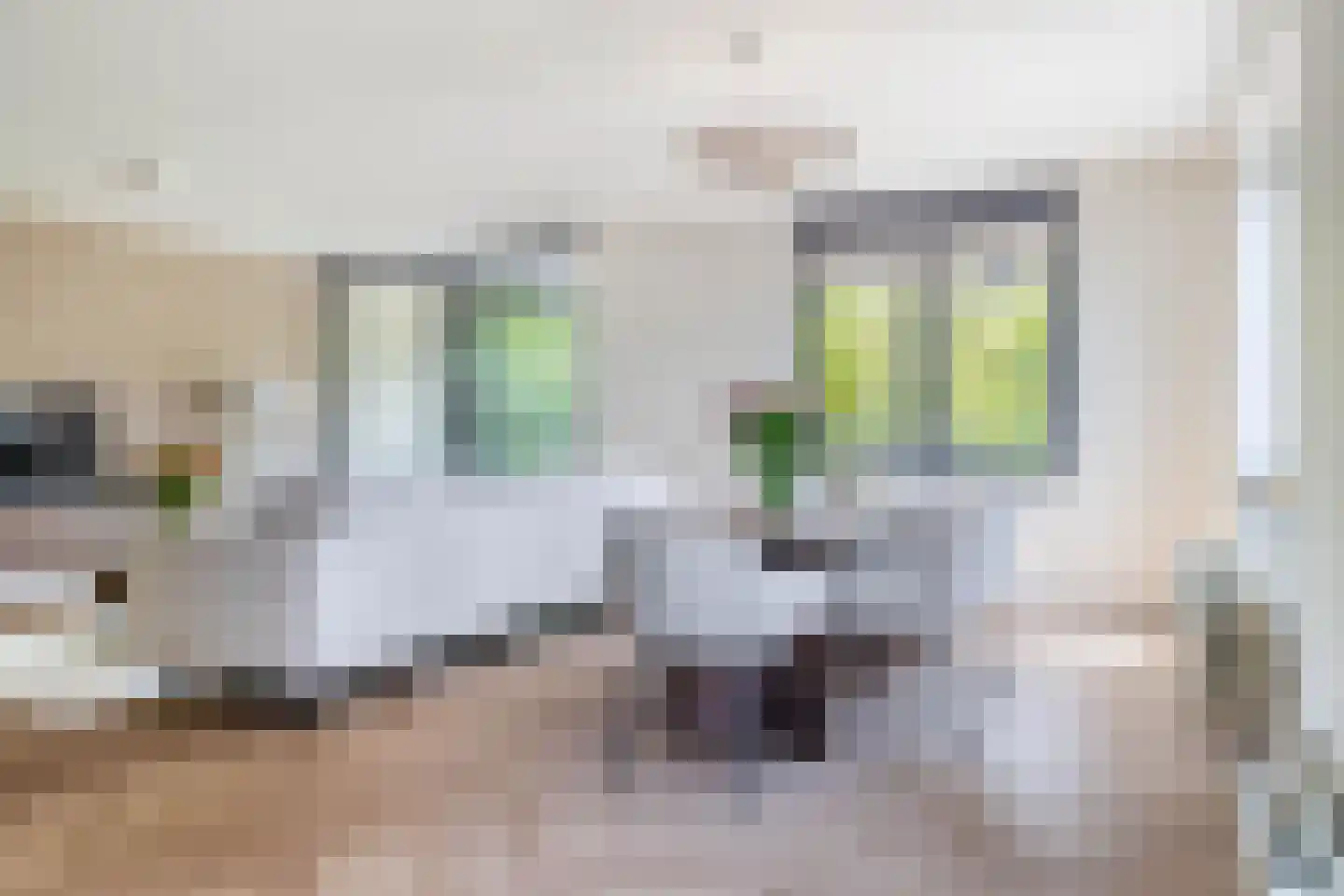 Vuurplaat 555 Rotterdam thumbnail 25