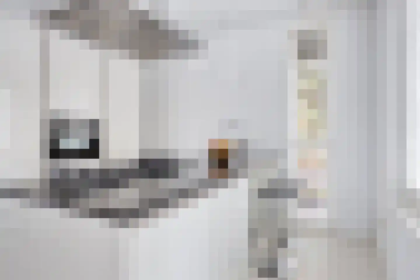 Vuurpot 16 Eindhoven thumbnail 15
