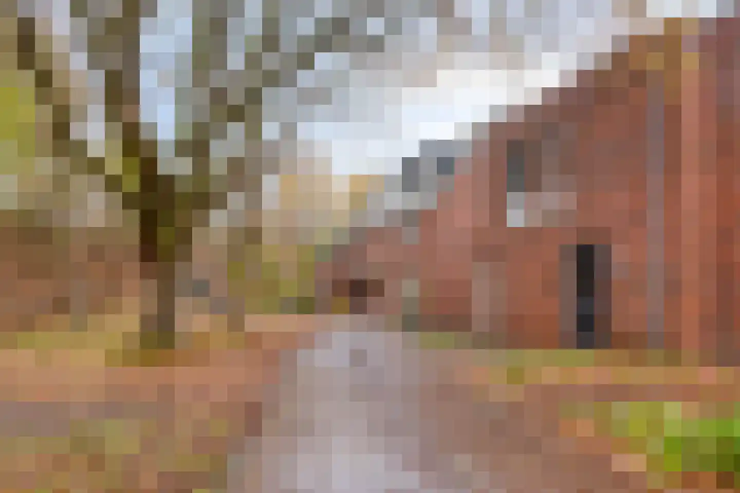 Vuurpot 16 Eindhoven thumbnail 37