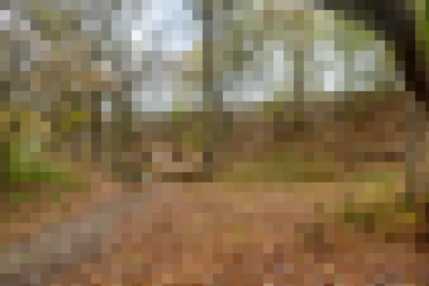 Vuurpot 16 Eindhoven thumbnail 40