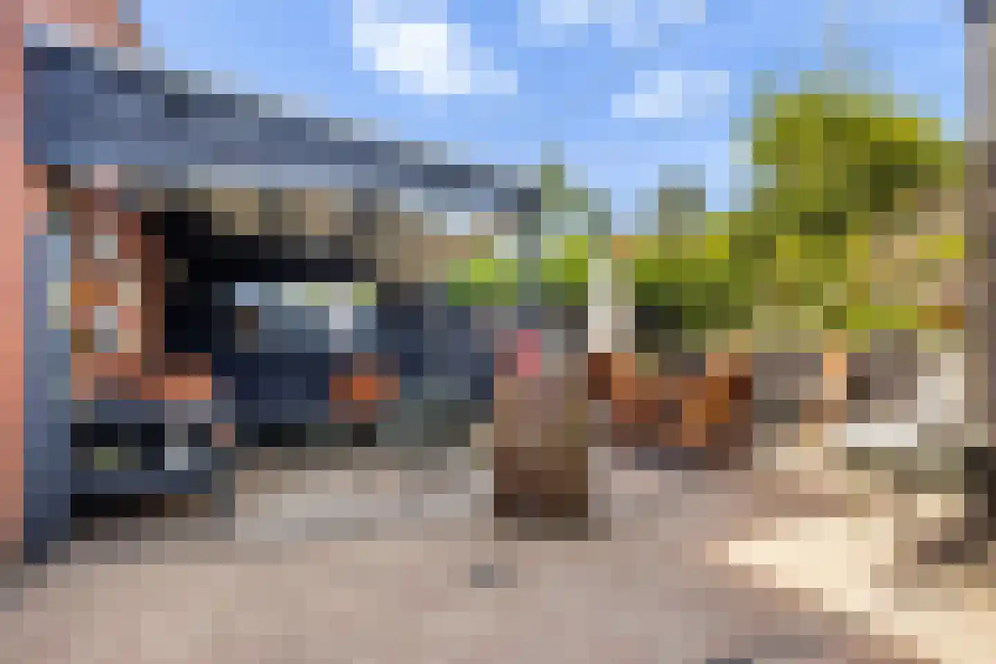 Vuursalamander 24 Amersfoort thumbnail 16