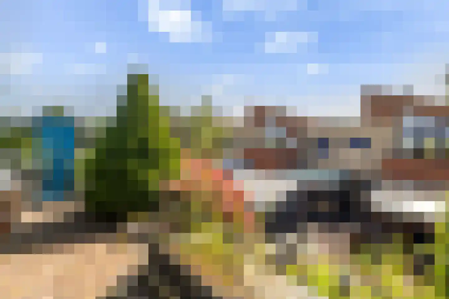 Vuursalamander 24 Amersfoort thumbnail 20