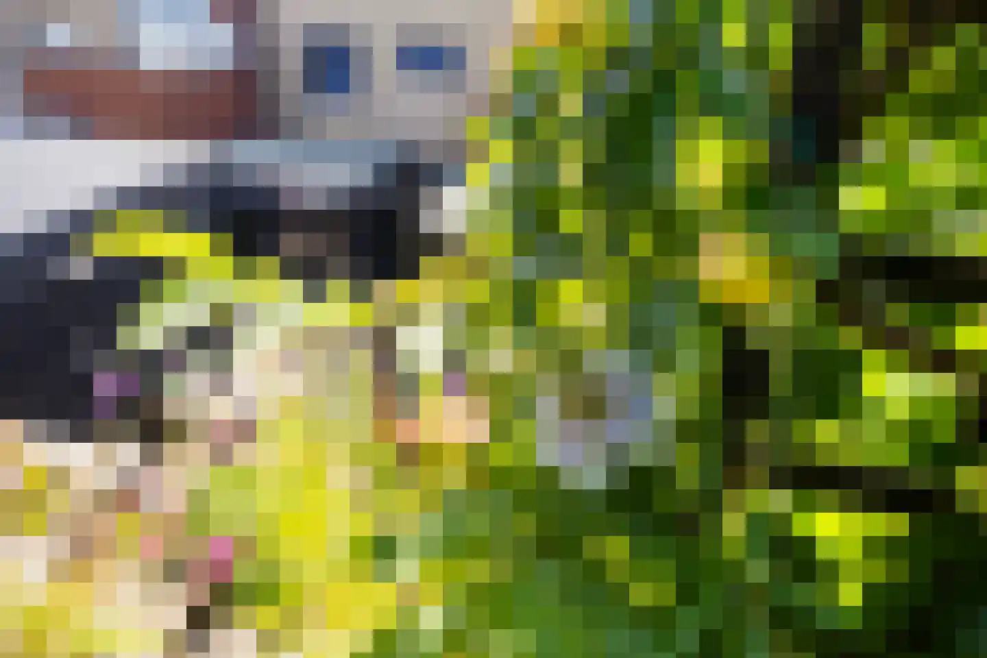 Vuursalamander 24 Amersfoort thumbnail 23