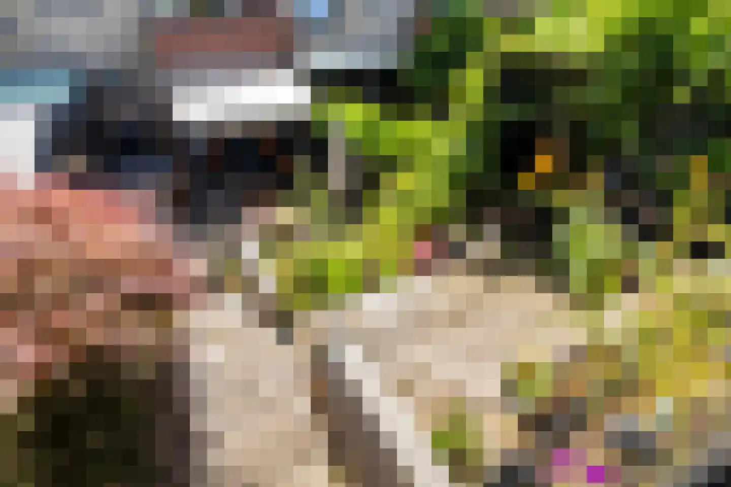 Vuursalamander 24 Amersfoort thumbnail 24