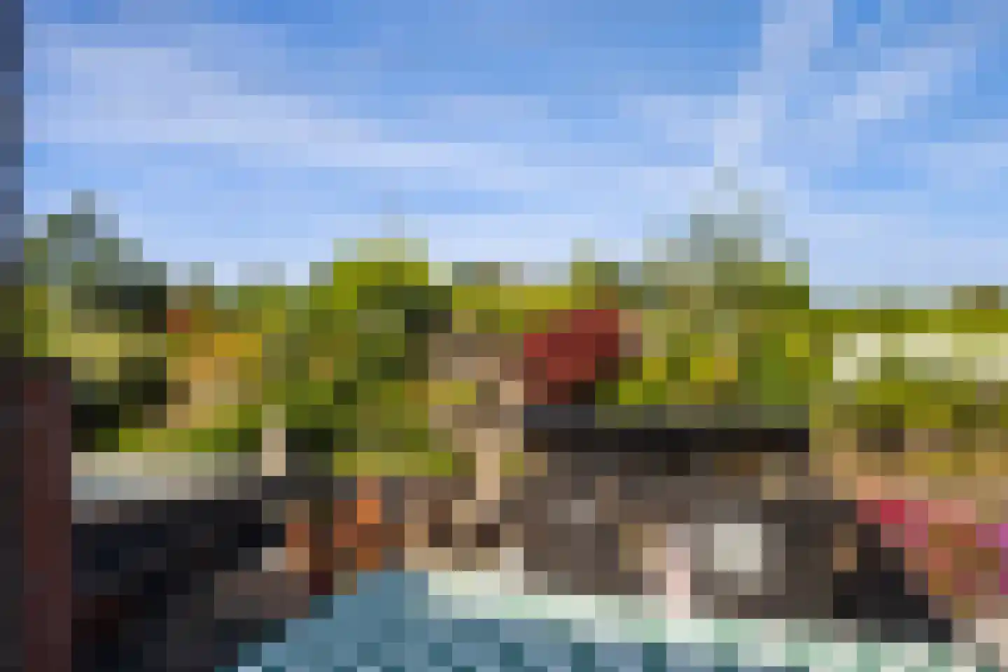 Vuursalamander 24 Amersfoort thumbnail 25