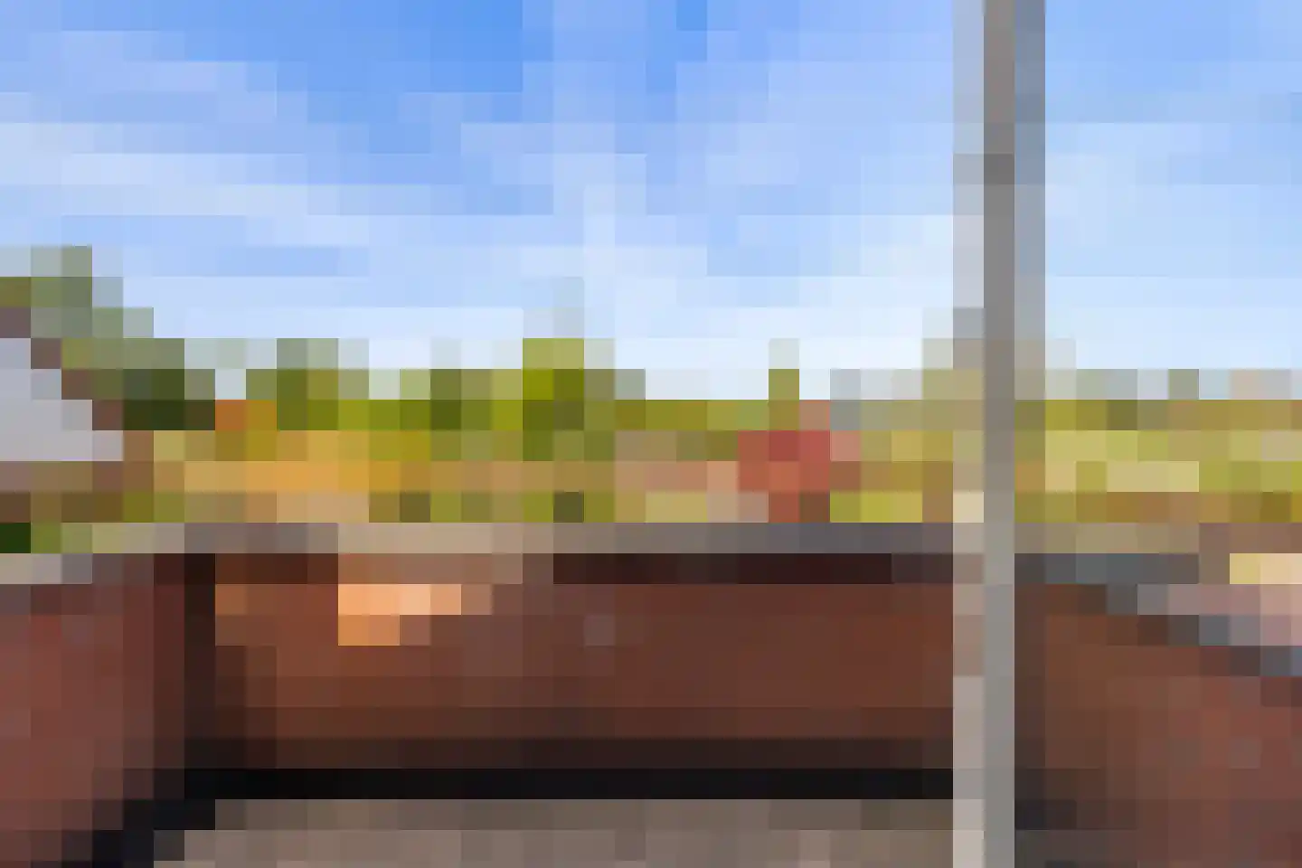 Vuursalamander 24 Amersfoort thumbnail 32
