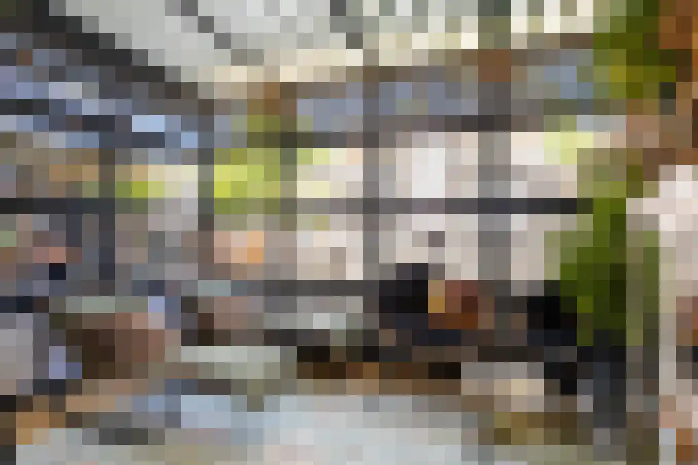 Vuursalamander 24 Amersfoort thumbnail 4
