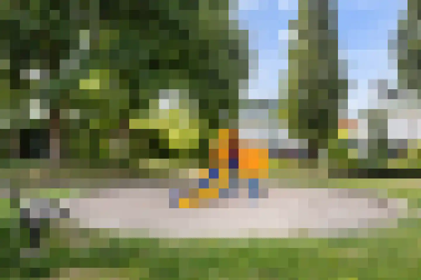 Vuursalamander 24 Amersfoort thumbnail 41