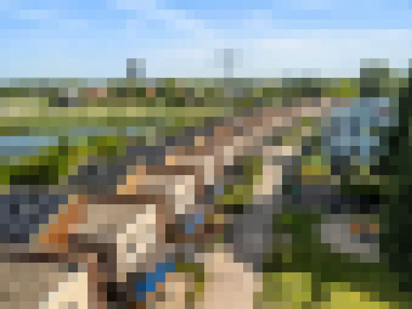 Vuursalamander 24 Amersfoort thumbnail 43