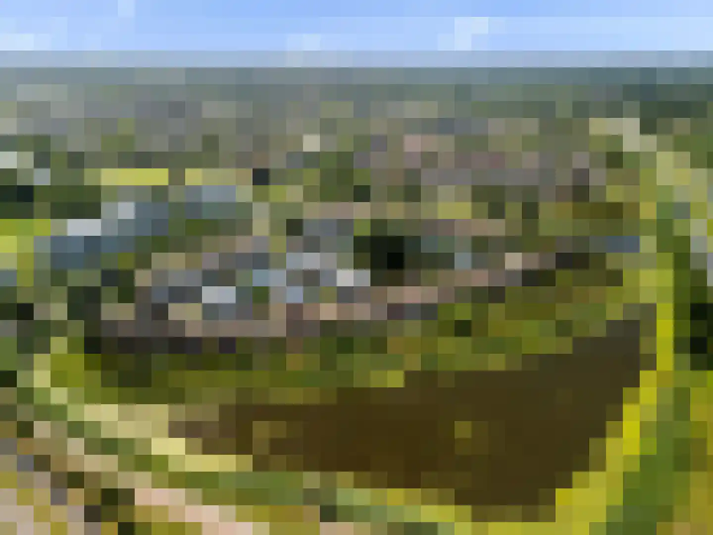 Vuursalamander 24 Amersfoort thumbnail 44