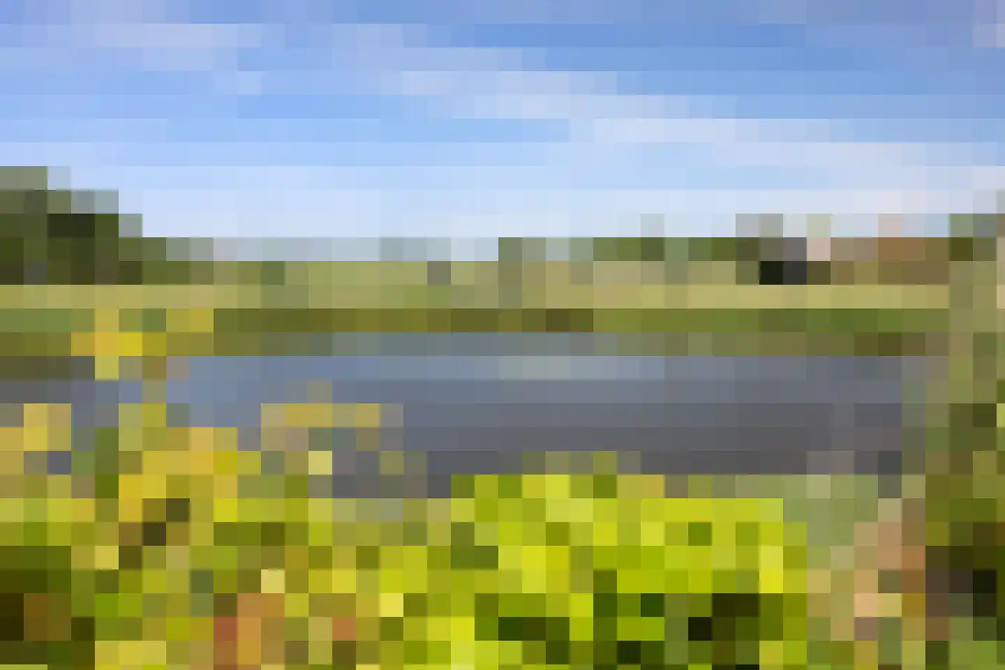 Vuursalamander 24 Amersfoort thumbnail 45