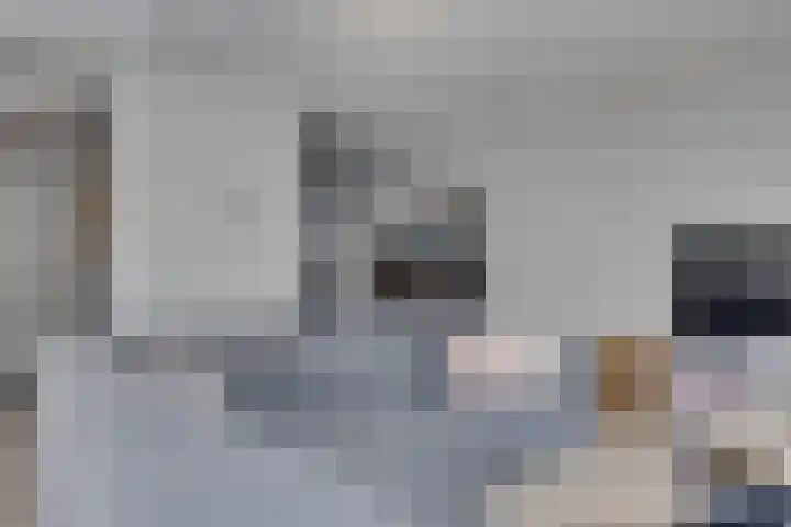 Vuursalamander 3 Amersfoort thumbnail 12