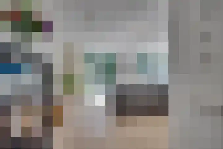 Vuursalamander 3 Amersfoort thumbnail 17