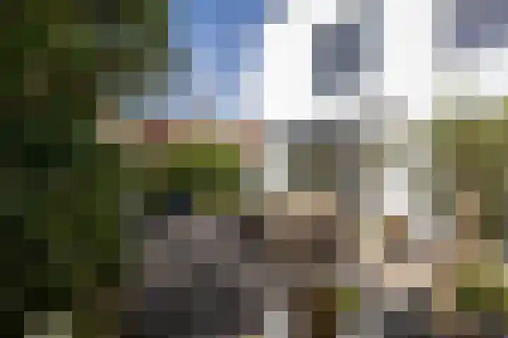 Vuursalamander 3 Amersfoort thumbnail 18