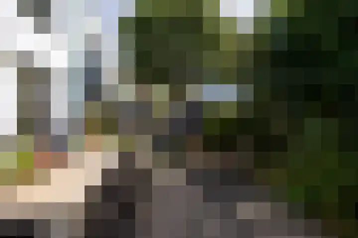 Vuursalamander 3 Amersfoort thumbnail 20