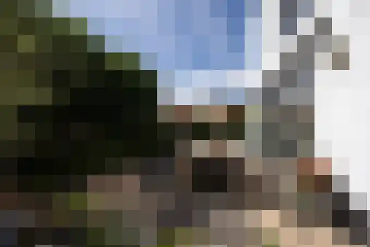 Vuursalamander 3 Amersfoort thumbnail 21