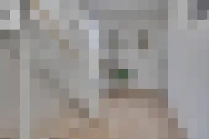 Vuursalamander 3 Amersfoort thumbnail 22